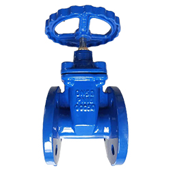 BS5163 NRS/OS&Y Resilient Seat Gate Valve