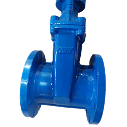 AS2129 NRS/OS&Y Resilient Seat Gate Valve